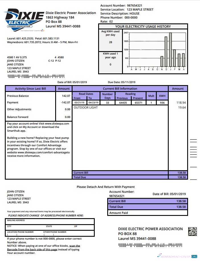 download USA Mississipi Dixie Electric utility bill template in Word and PDF format PDF template